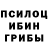 Галлюциногенные грибы Psilocybe Tati Shelest