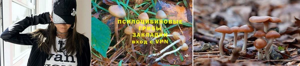 мескалин Балабаново