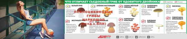эйфоретик Баксан