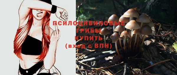 скорость Балахна