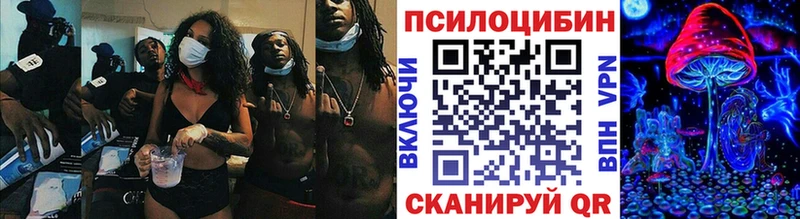 купить   Верхнеуральск  Псилоцибиновые грибы GOLDEN TEACHER 